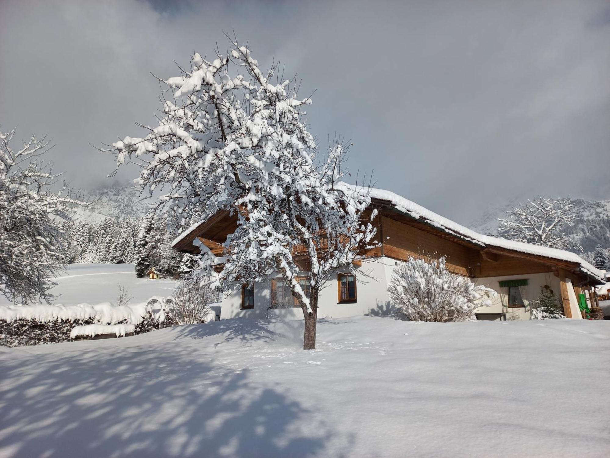 Chalet Gluecklich Sein... Елмау Екстериор снимка